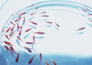 量子计算使用技巧：量子模拟在材料科学的应用